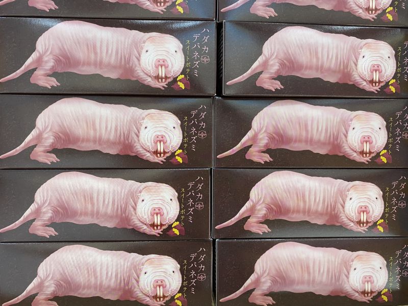 bao-bi-banh-khoai-lang-chuot-chuoi bao-bi-banh-khoai-lang-chuot-chuoi